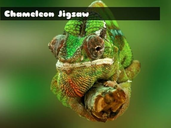 Chameleon Jigsaw Game Cover