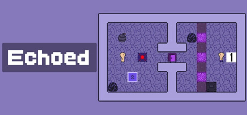 Echoed Image