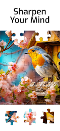 Puzzles for Seniors screenshot