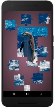 Real Dolphins Game : Jigsaw Puzzle 2019 Image