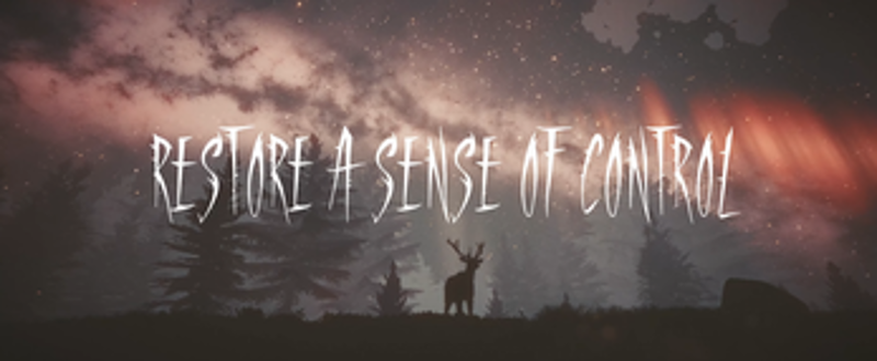 STILLFRAME screenshot