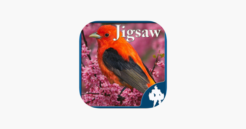 Birds Jigsaw Puzzles - Titan Game Cover