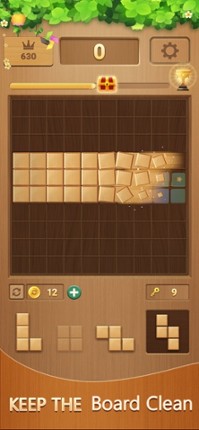 Block puzzle Casual game woody screenshot