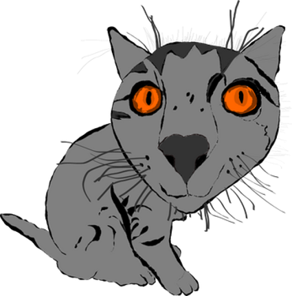 Cat Catostrophe Image