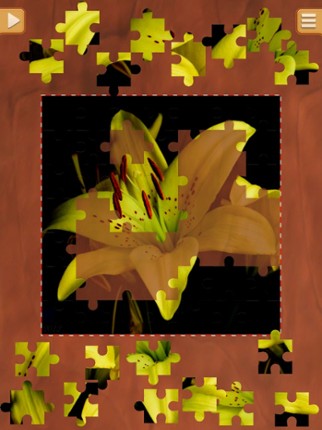 Flower Jigsaw Puzzles - Relaxing Puzzle Game screenshot