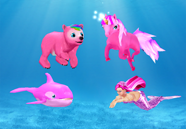 My Dolphin Show Image