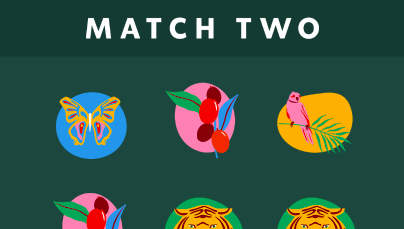 Games like Match two (2) template (Buildbox)