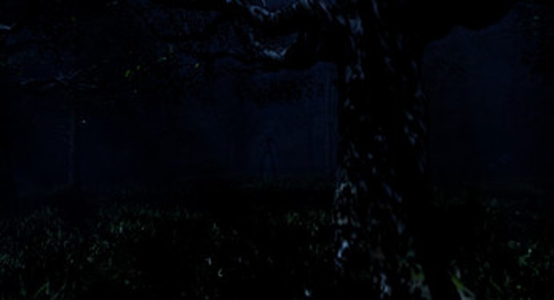 NIGHT IN THE FOREST Image
