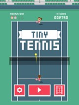 Tiny Tennis Image