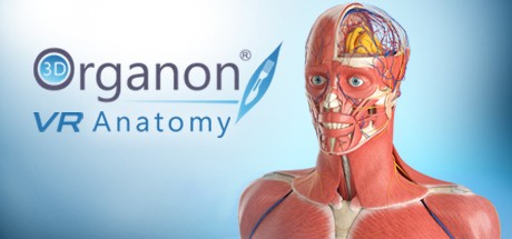 Games like 3D Organon VR Anatomy 2018