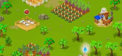 Big Farm Garden Image