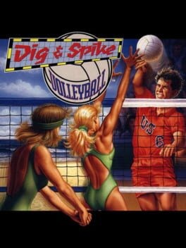 Games like Dig & Spike Volleyball
