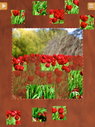Flower Jigsaw Puzzles - Relaxing Puzzle Game screenshot