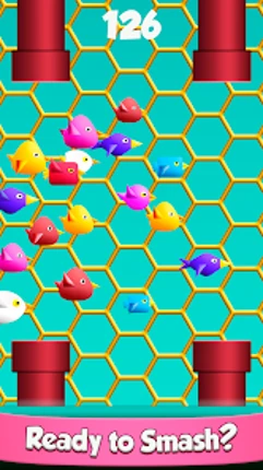 Cool Birds Fun Smash for Kids screenshot