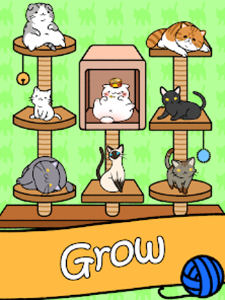 Cat Condo Image