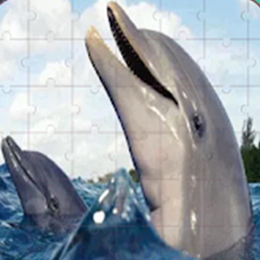 Games like Real Dolphins Game : Jigsaw Puzzle 2019
