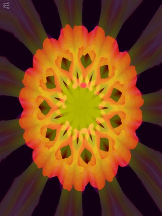 Triptoy Lite Image