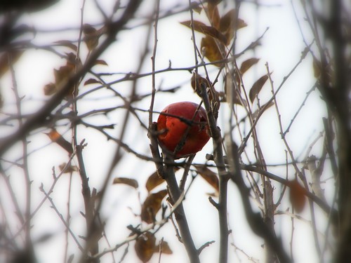 Games like Far from the Tree (on hiatus)