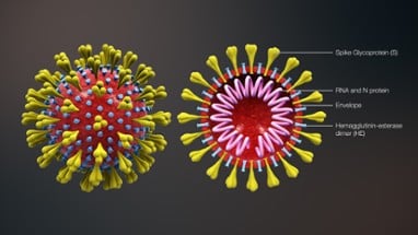 Corona Virus - COVID 19 Image