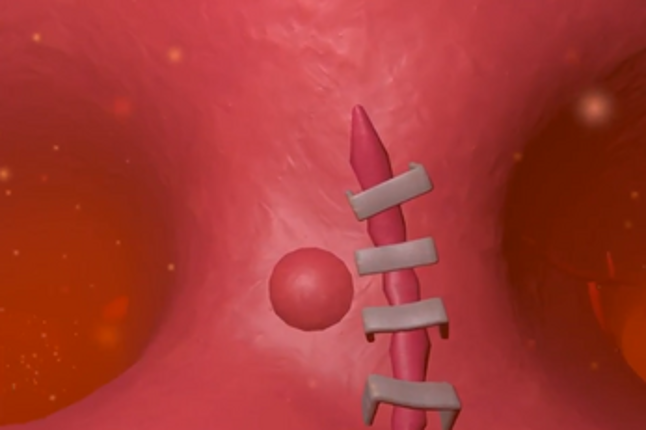 My heart will go on screenshot