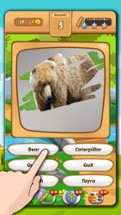 Scratch Animal Quiz. Trivia For kids Image