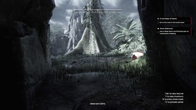 Wilderdark screenshot