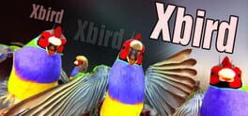 Xbird Image