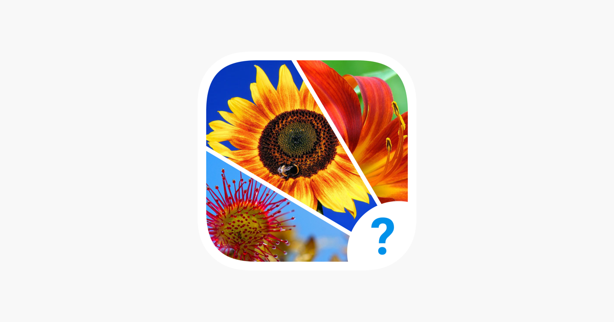 Games like 4 Clues: Word Search Game