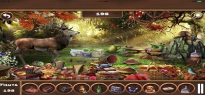 Animal Zoo Park Hidden Objects Image