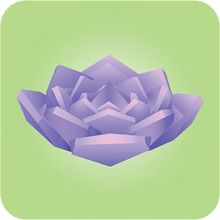 Viridi Image