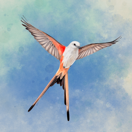 Wingspan: The Board Game Image