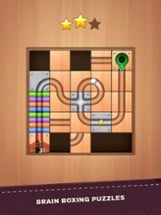 Unblock Ball : Block Puzzle Image