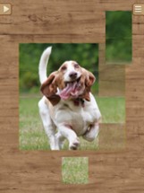 Dog Jigsaw Puzzles Image