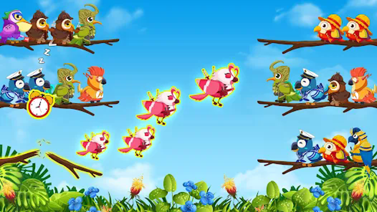 Bird Sort 2: Color Puzzle Image