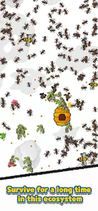 Ants and Mantis Image