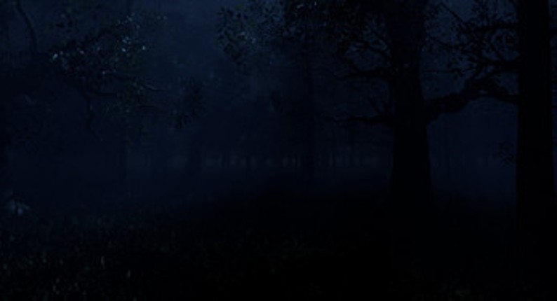 NIGHT IN THE FOREST Image