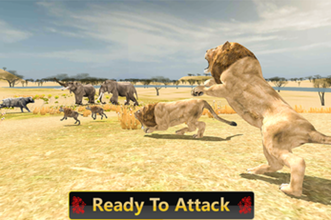 Wild Lion Safari Simulator 3D Image