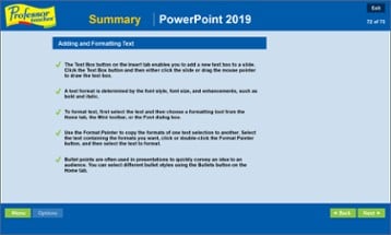 Professor Teaches PowerPoint 2019 Image