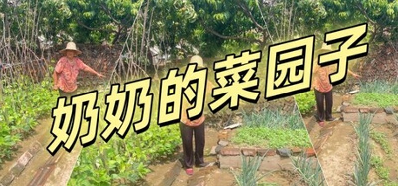 奶奶的菜园子 Image