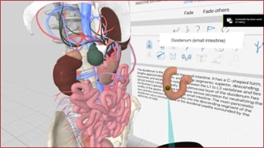 3D Organon VR Anatomy 2018 Image