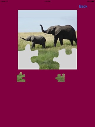 Elephants Jigsaw Puzzles with Photo Puzzle Maker screenshot