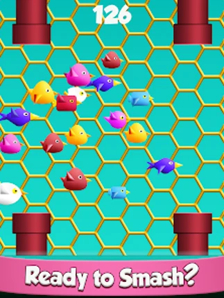Cool Birds Fun Smash for Kids screenshot