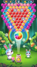 Bunny Bubble: Forest Animal Shooter Image