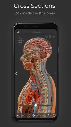 Z-Anatomy - Open Source 3D Atlas screenshot