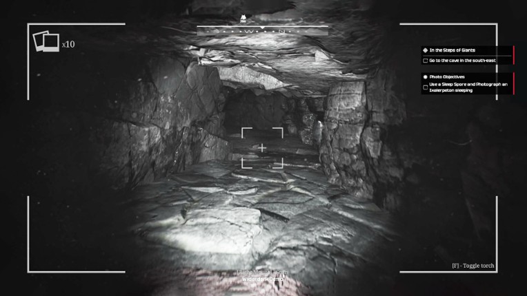Wilderdark Image