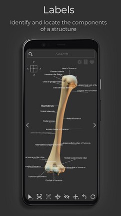 Z-Anatomy - Open Source 3D Atlas screenshot