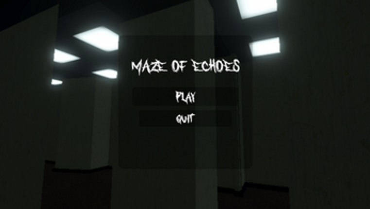 Maze Of Echoes Image