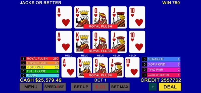 Multi Video Poker Casino Image
