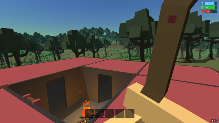 Primitive Survival Image