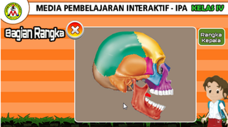 Rangka Manusia Image